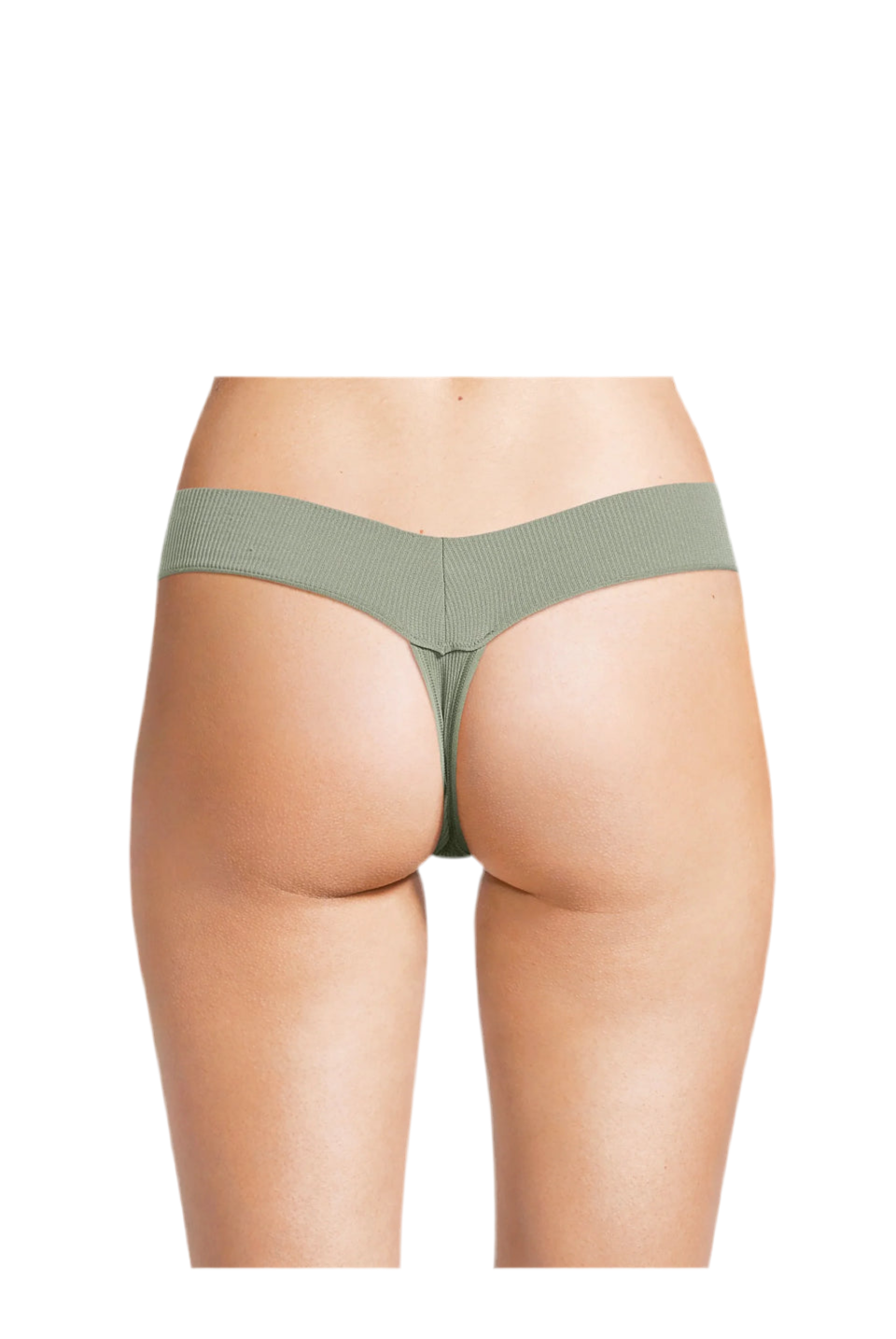 No Boundaries Seamless Ribbed Thong Panties, Women's and Women's Plus | WTWL542XA