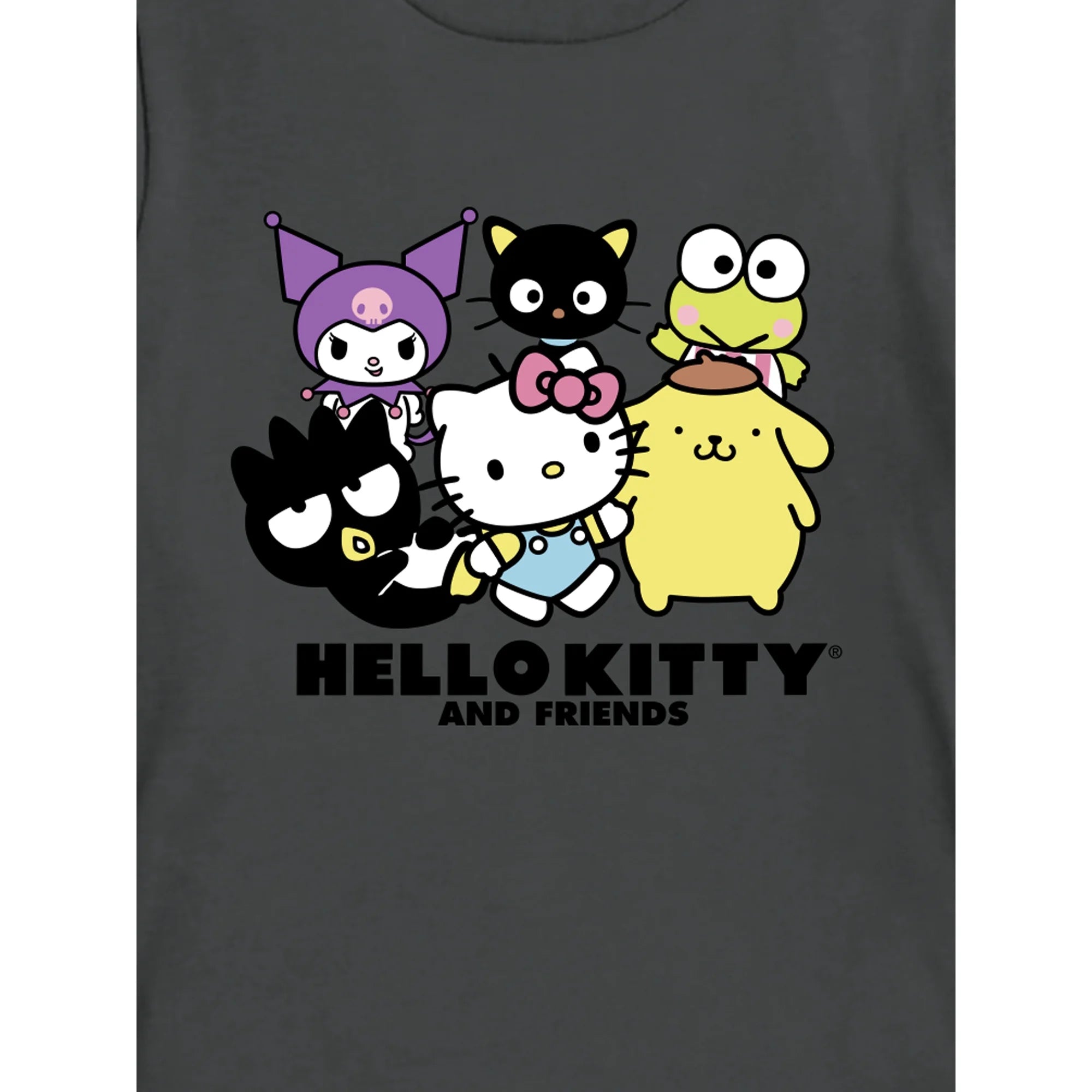Sanrio Boys Hello Kitty Hola Gato, Crew Neck, Short Sleeve, Graphic T-Shirt, Sizes 4-18  | WTWL837XA