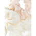 Time and Tru Women's Hair Ties, 3-Pack, Ivory |  WTWL857XA