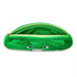 Care Bears Green Case Easter Basket Stuffer |  WTWL890XA
