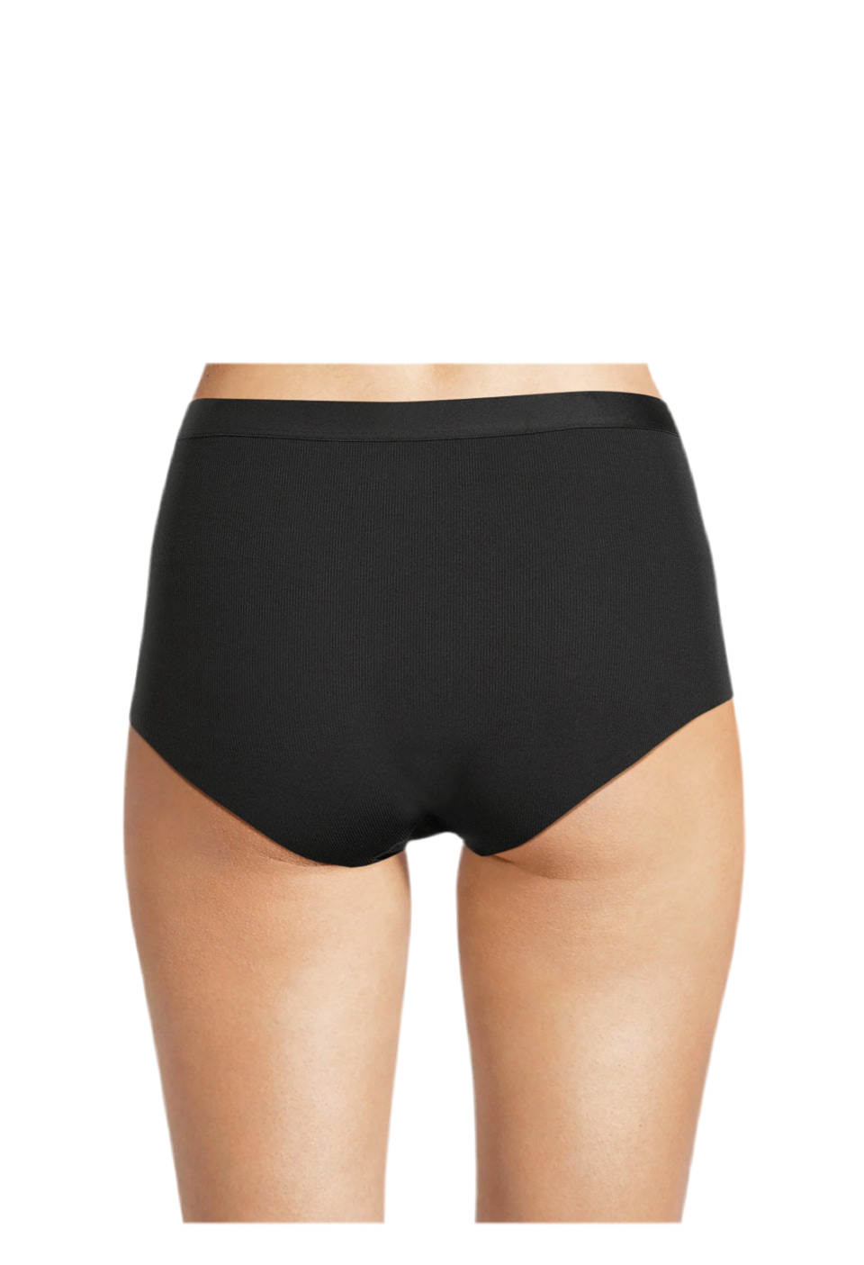 No Boundaries Micro Brief Panty, Sizes XS-XXXL | WTWL535XA