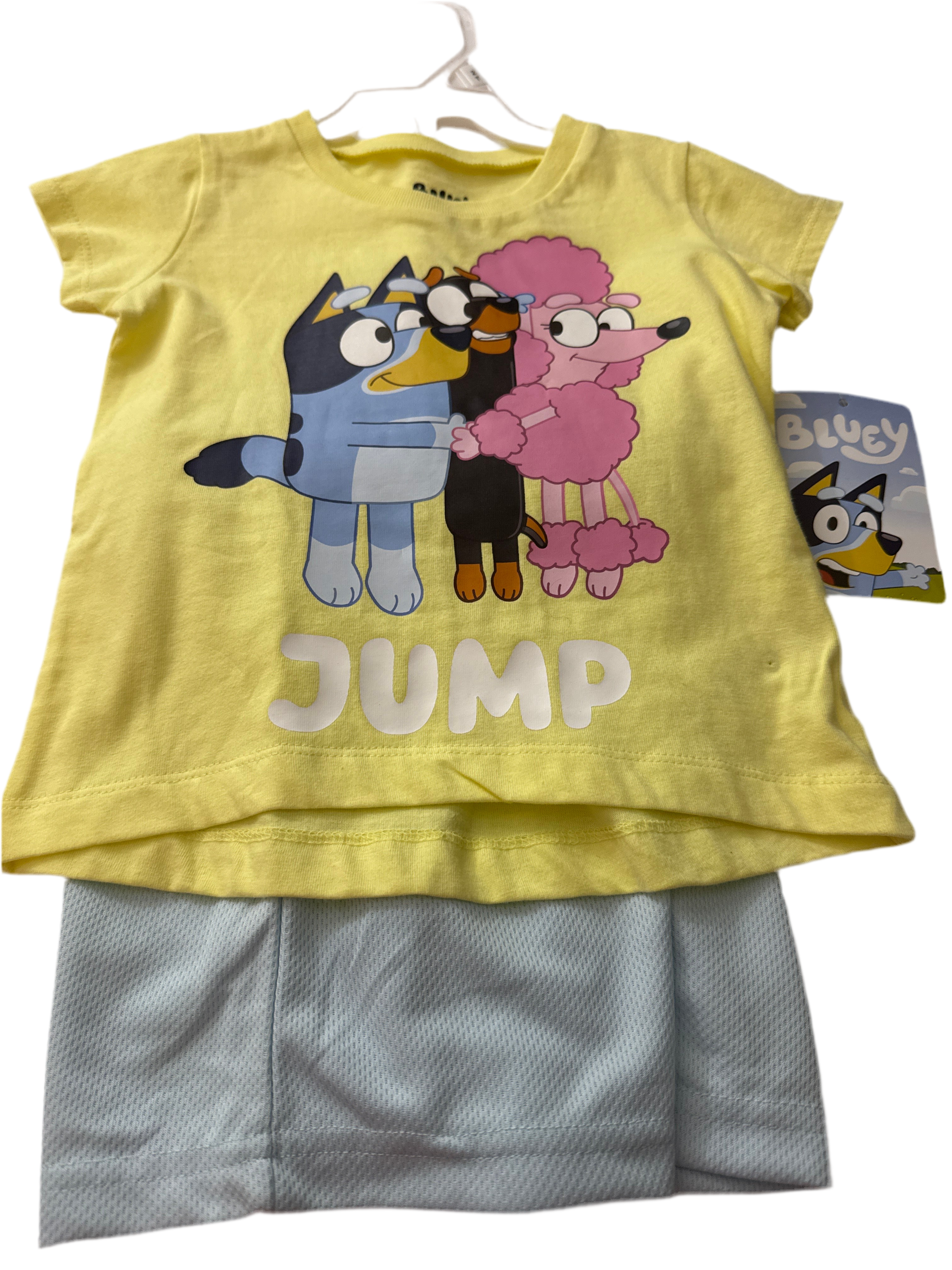 Bluey Toddler Short Sleeve Tee and Shorts Set | BTGT32XA