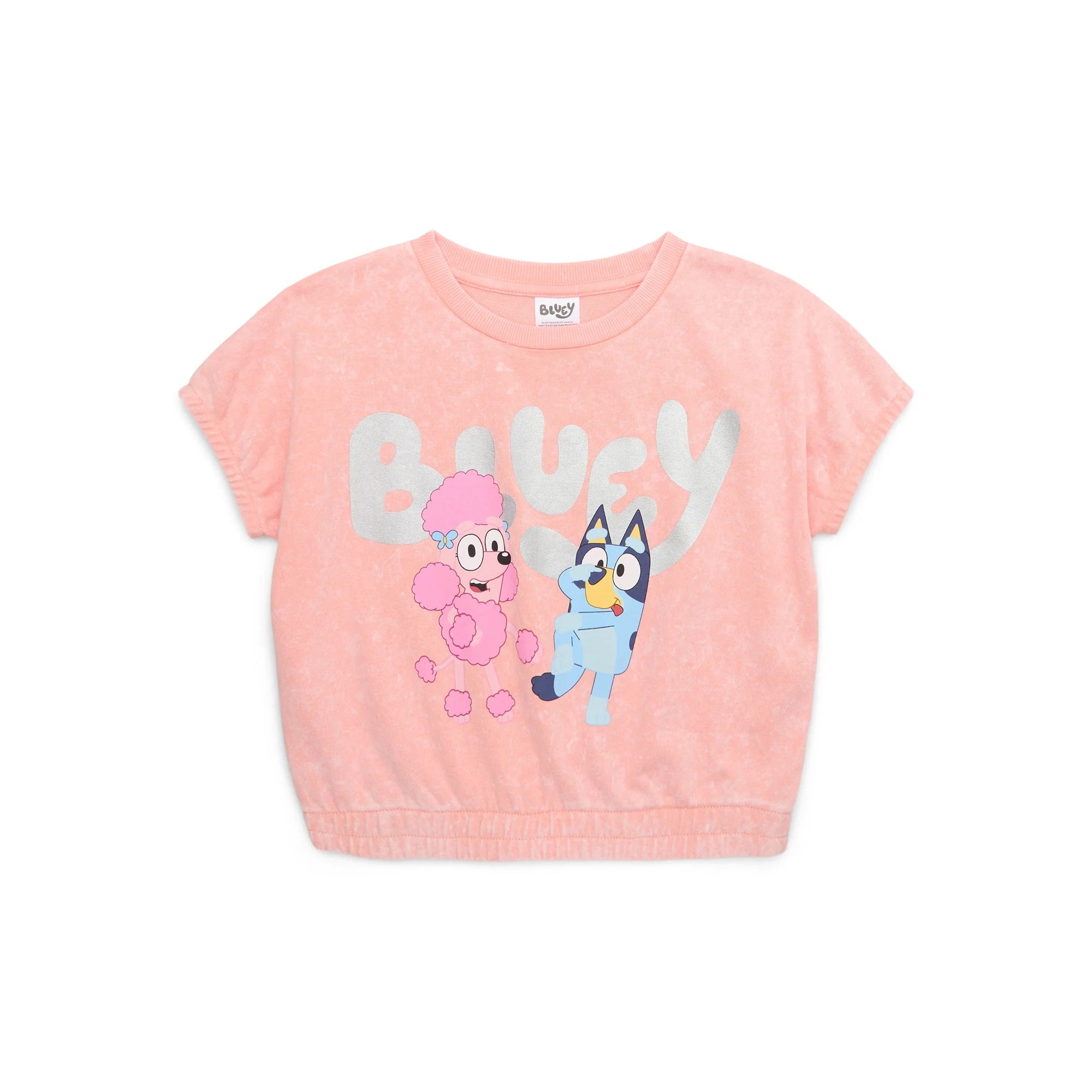 Bluey Australia Girls Embroidered Short Sleeve Graphic Top, Sizes 4-16 |  WTWL781XB