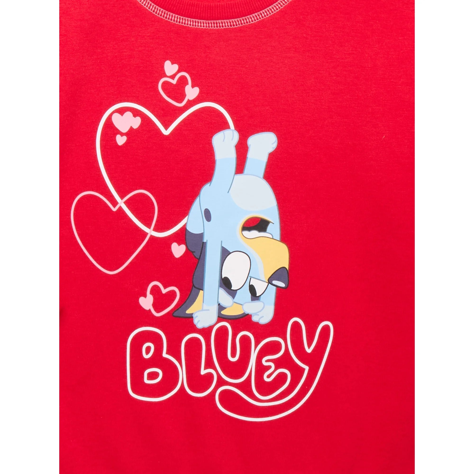 Bluey Girls Graphic Crewneck Pullover, Sizes 4-12 | WTWL105XA
