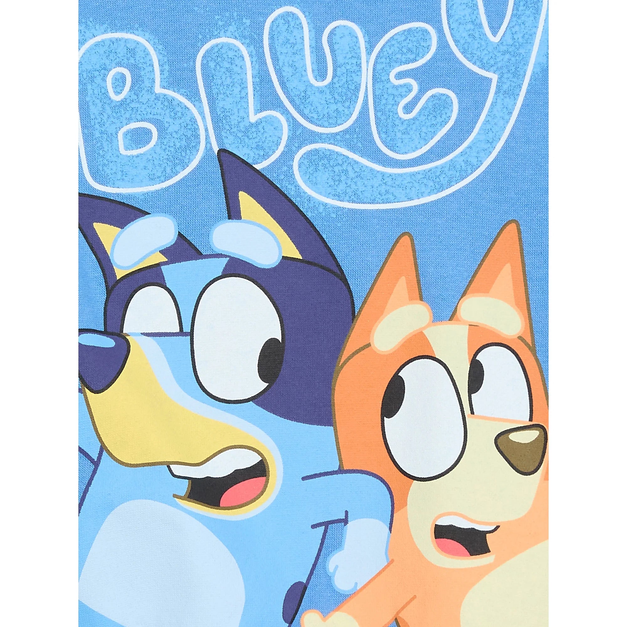 Bluey Toddler Boys Graphic Crewneck Sweatshirt, Sizes 12M- | WTWL443XA