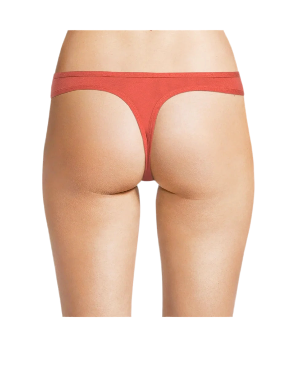 No Boundaries Cotton Thong Panty, Women's and Women's Plus | WTWL160XB