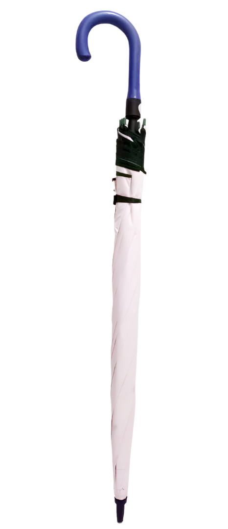 Top Class Fancy Supreme Xtra Large Fancy Umbrella | DGA8b