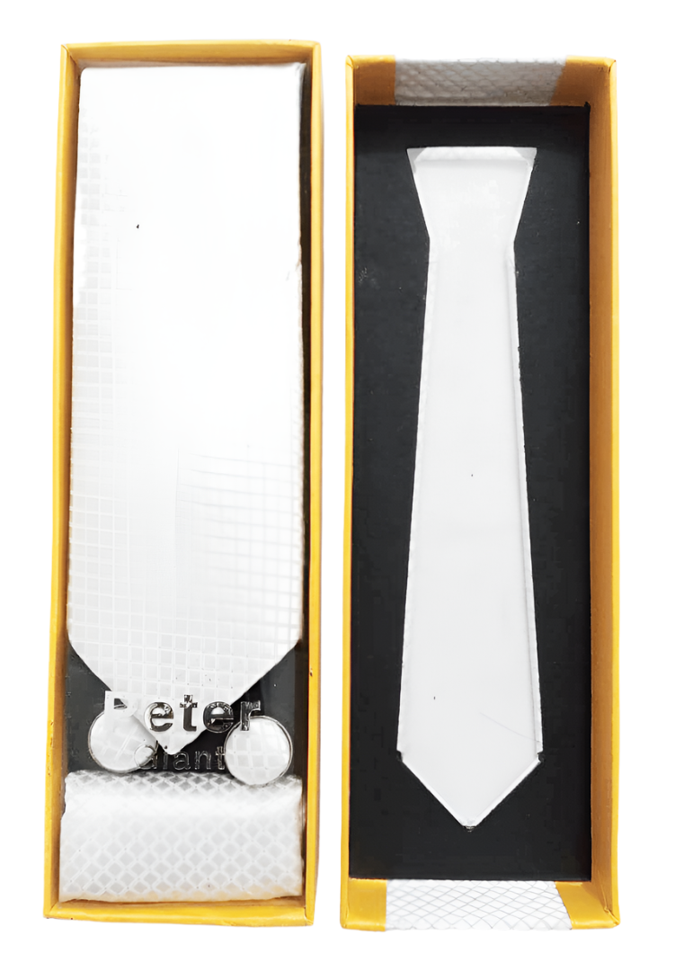 3-Piece Designer Long Tie Set | DLB21a