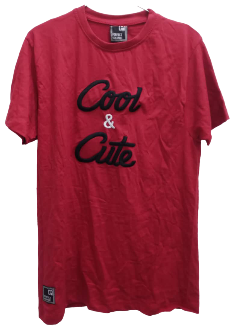 Top Quality Designer Red Round Neck Polo Shirt (T-Shirt) | EBK29a