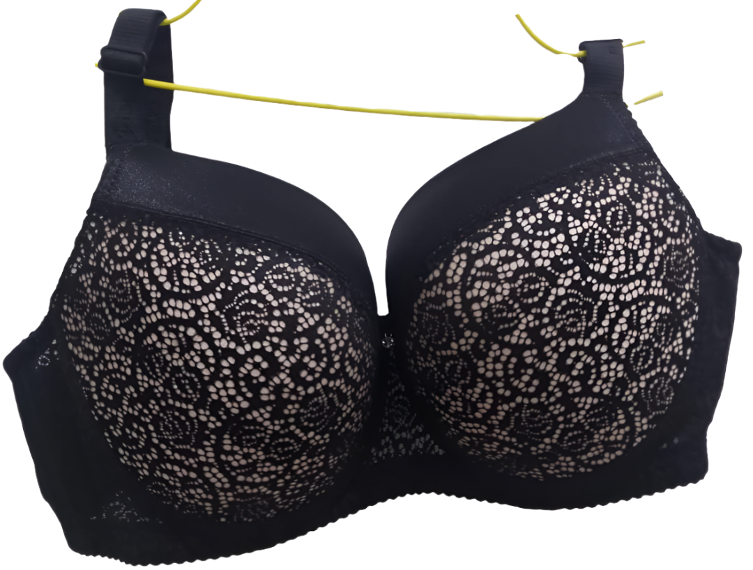 Fancy Top Quality Support Bra | EBT32b