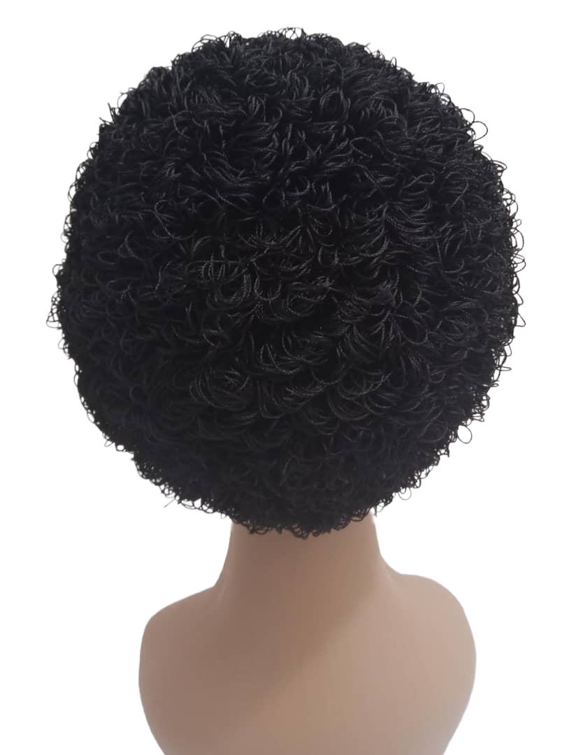 Natural Afro Hair Wig | EGN20a