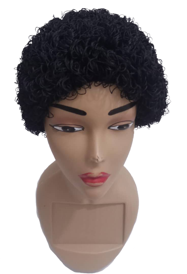 Natural Afro Hair Wig | EGN20a