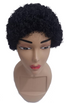 Natural Afro Hair Wig | EGN20a
