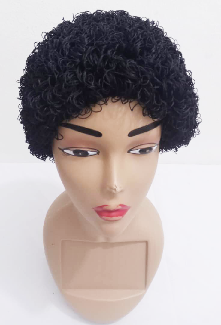 Natural Afro Hair Wig | EGN20a