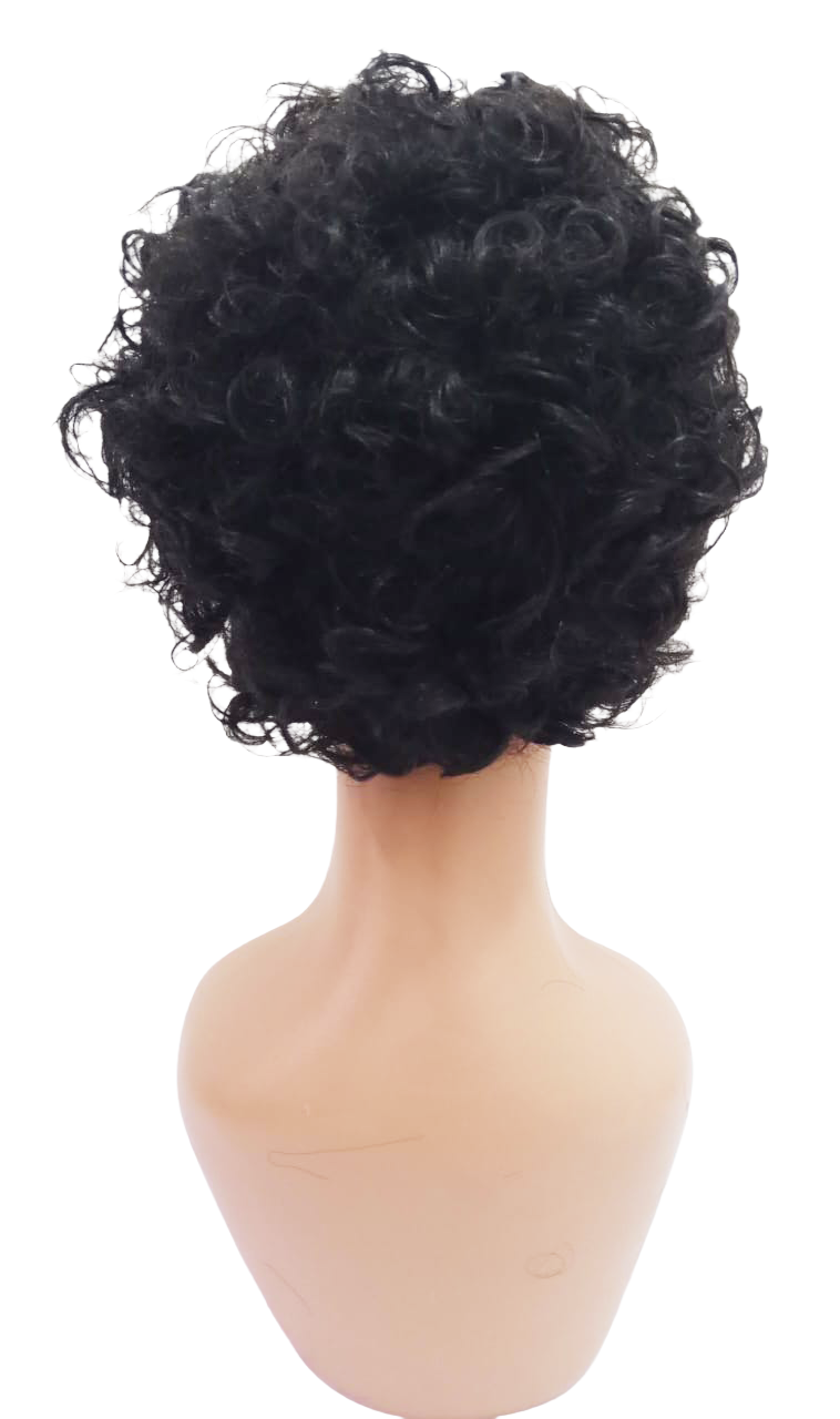 Best Selling Curly Wave Short Wig | EGN5a
