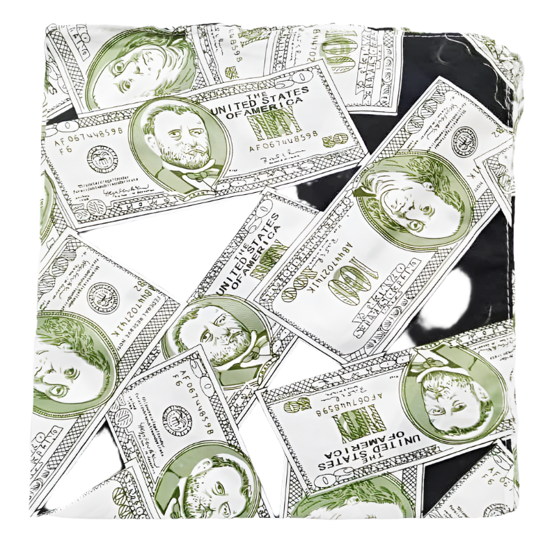 Designer Dollar Scarf | EKZ52a