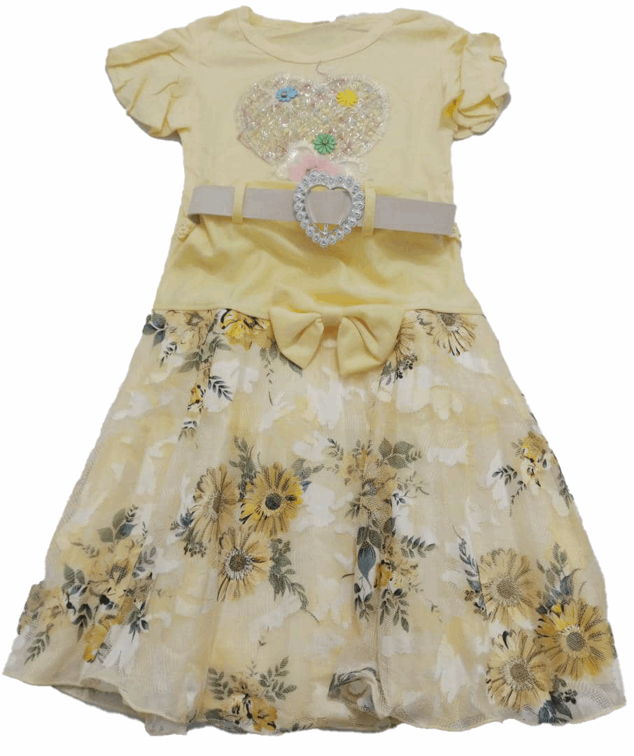 Beautiful Up & Down Matching Set Clothes for Kids (Skirt & Blouse) | ESG13a