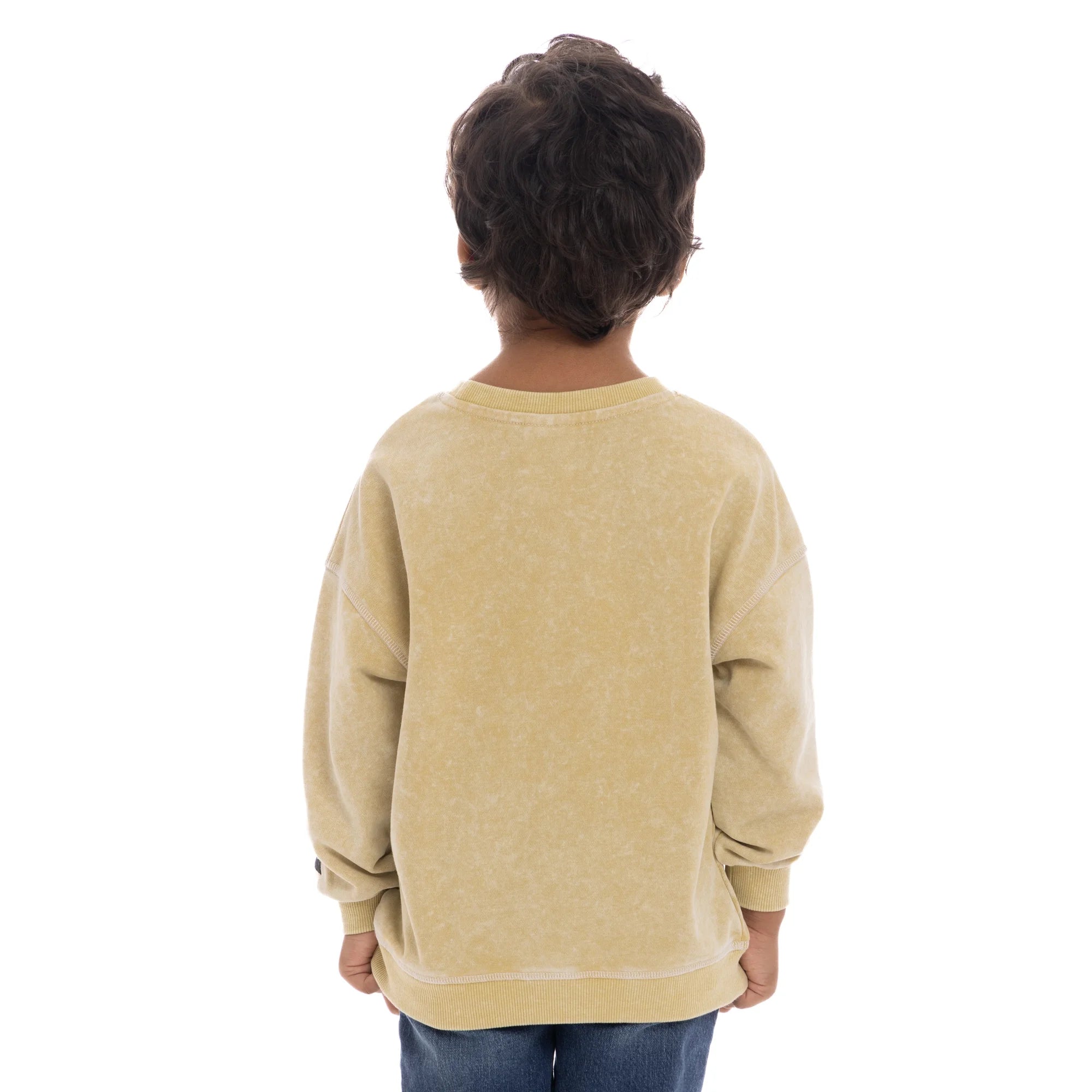 Ford Bronco Toddler Boy Graphic Crewneck Sweatshirt, Sizes 12M-5T | WTWL728XA