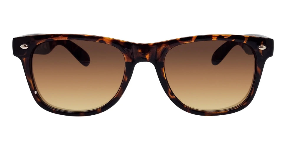 Men's Wayfarer Full Rim Sunglasses with Tortoise Frames and Brown Lenses XG12P34| WTWL49XA