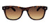 Men's Wayfarer Full Rim Sunglasses with Tortoise Frames and Brown Lenses XG12P34| WTWL49XA