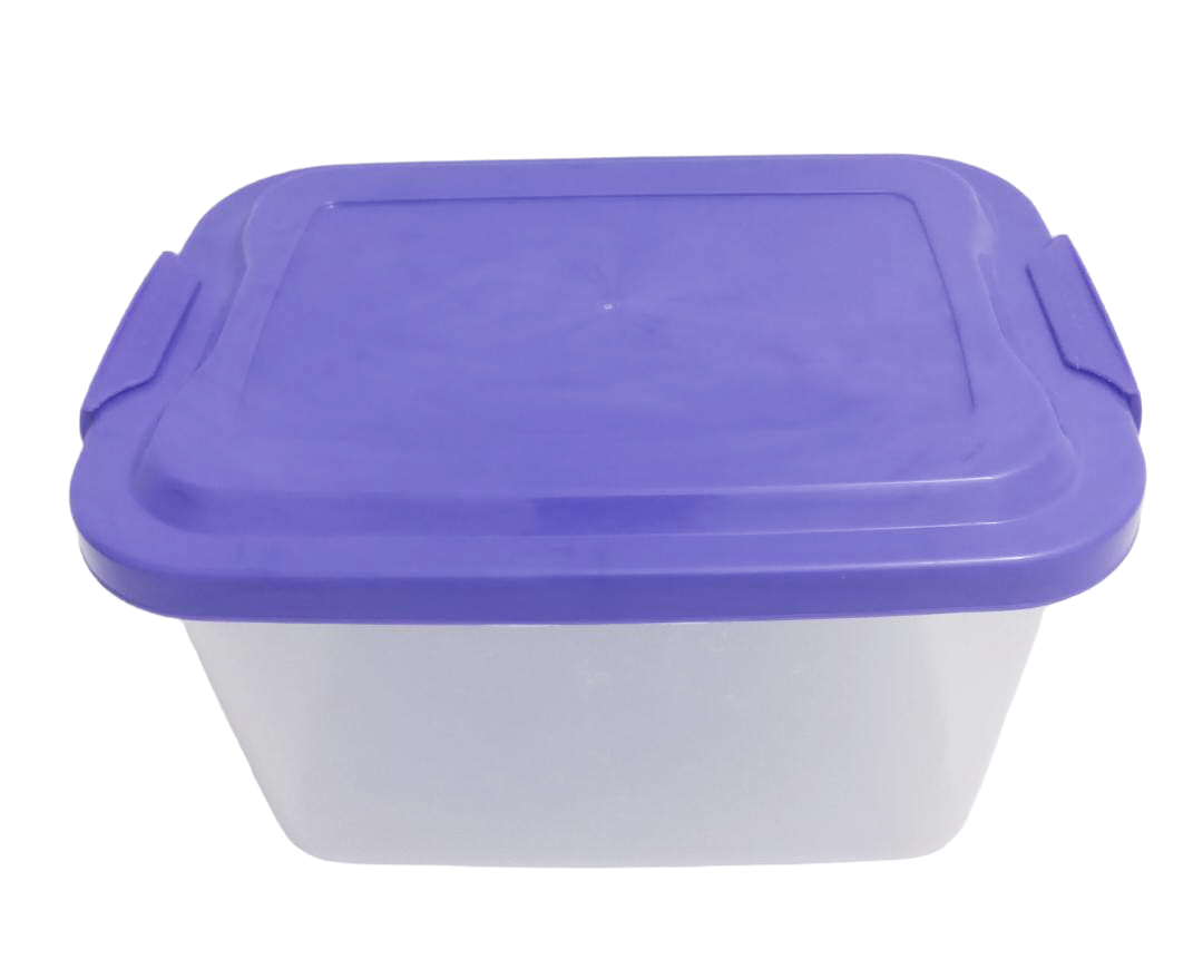 Top Quality 4L Transparent Utility Box | KPT60a