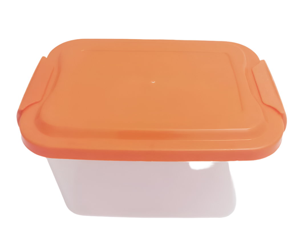 Multi-Purpose 2L Transparent Utility Box | KPT61a