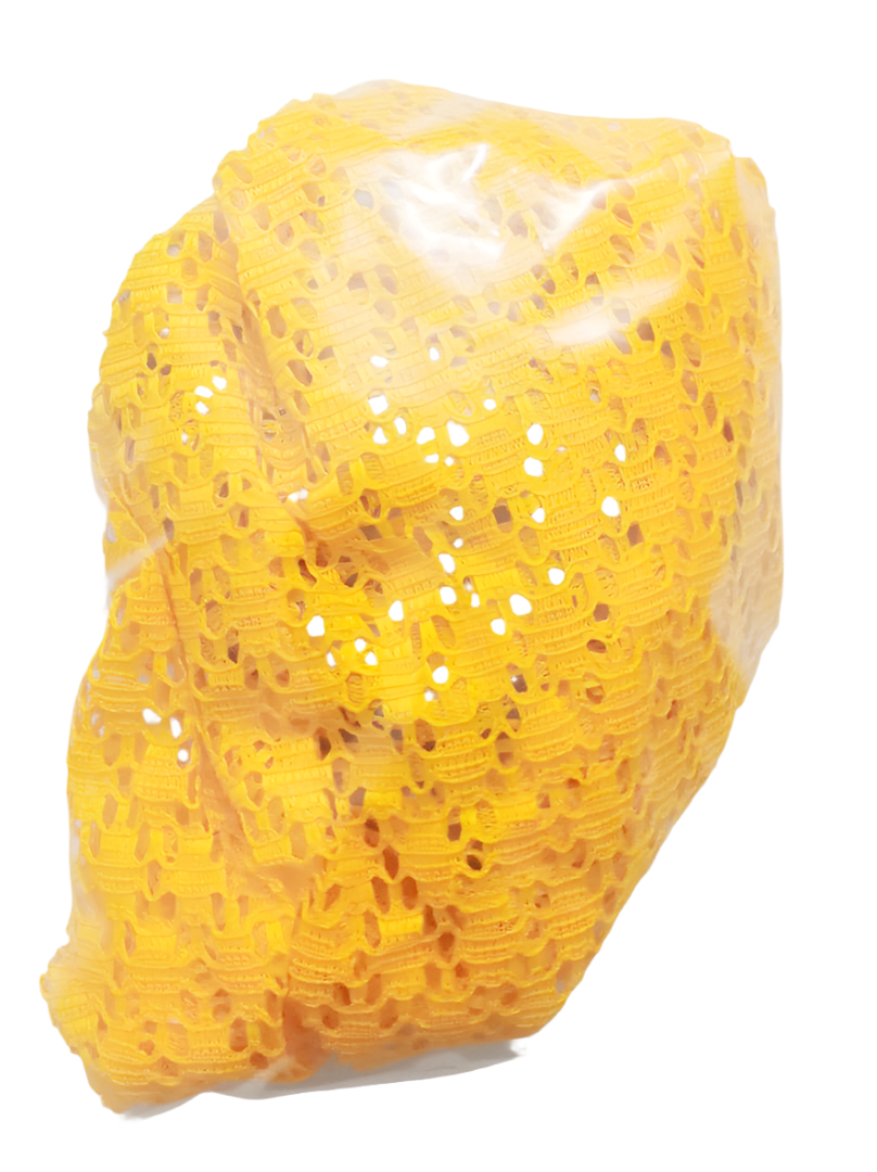 GEN 2-Piece Pack Shower Cap & Hair Net | PRD4a