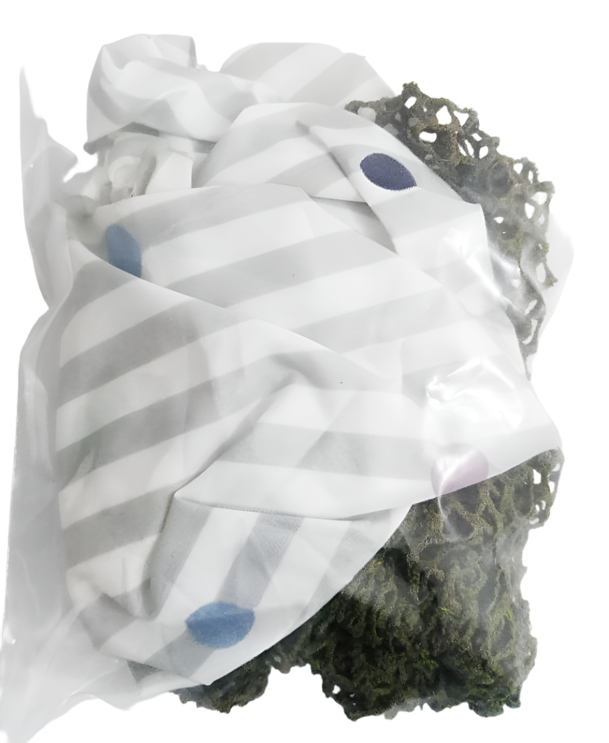 GEN 2Pack Shower Cap & Hair Net | PRD5a