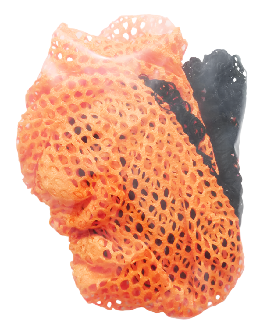 GEN 2Pack Hair Net | PRD8a