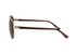 Foster Grant Men's Premium Polarized Aviator Fashion Sunglasses, Gold BB07 |  WTWL120XB