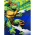 Teenage Mutant Ninja Turtles Boy's Swim Boardshorts  |  WTWL193XA