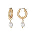 Time and Tru Women's Goldtone Huggie Hoop Earring with Simulated Freshwater Pearl   |  WTWL229XA