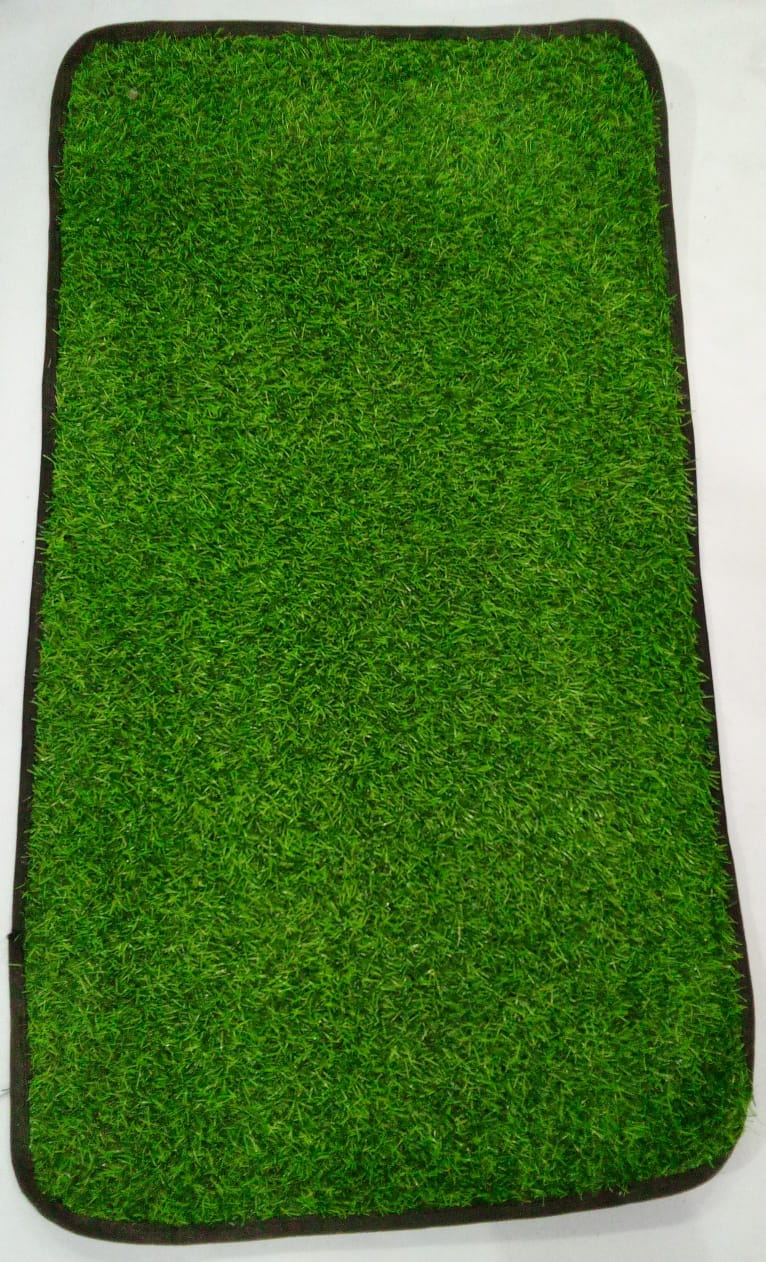 Eco Friendly Grass Footmat For Front Door | BNO1a