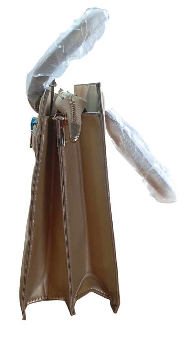 Classy Ladies Fashion Handbag | CND1b