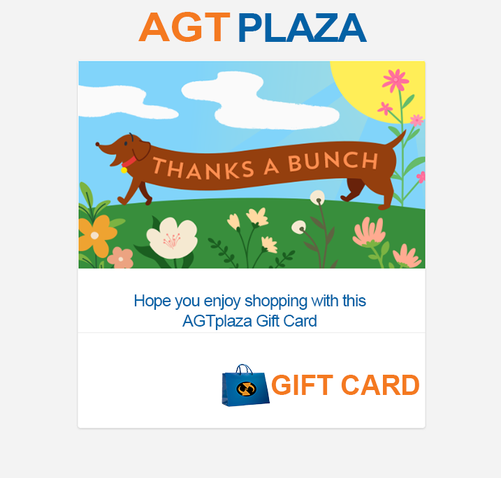 Thank You So Much Gift Card