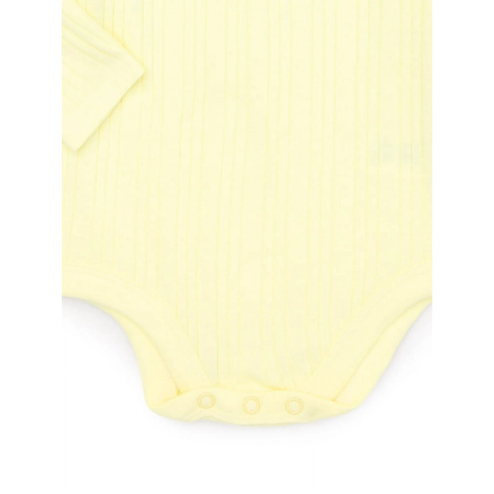 Garanimals Baby Girl Long Sleeve Hacci Rib Bodysuit, Sizes 0-24 Months |  WTWL820XA