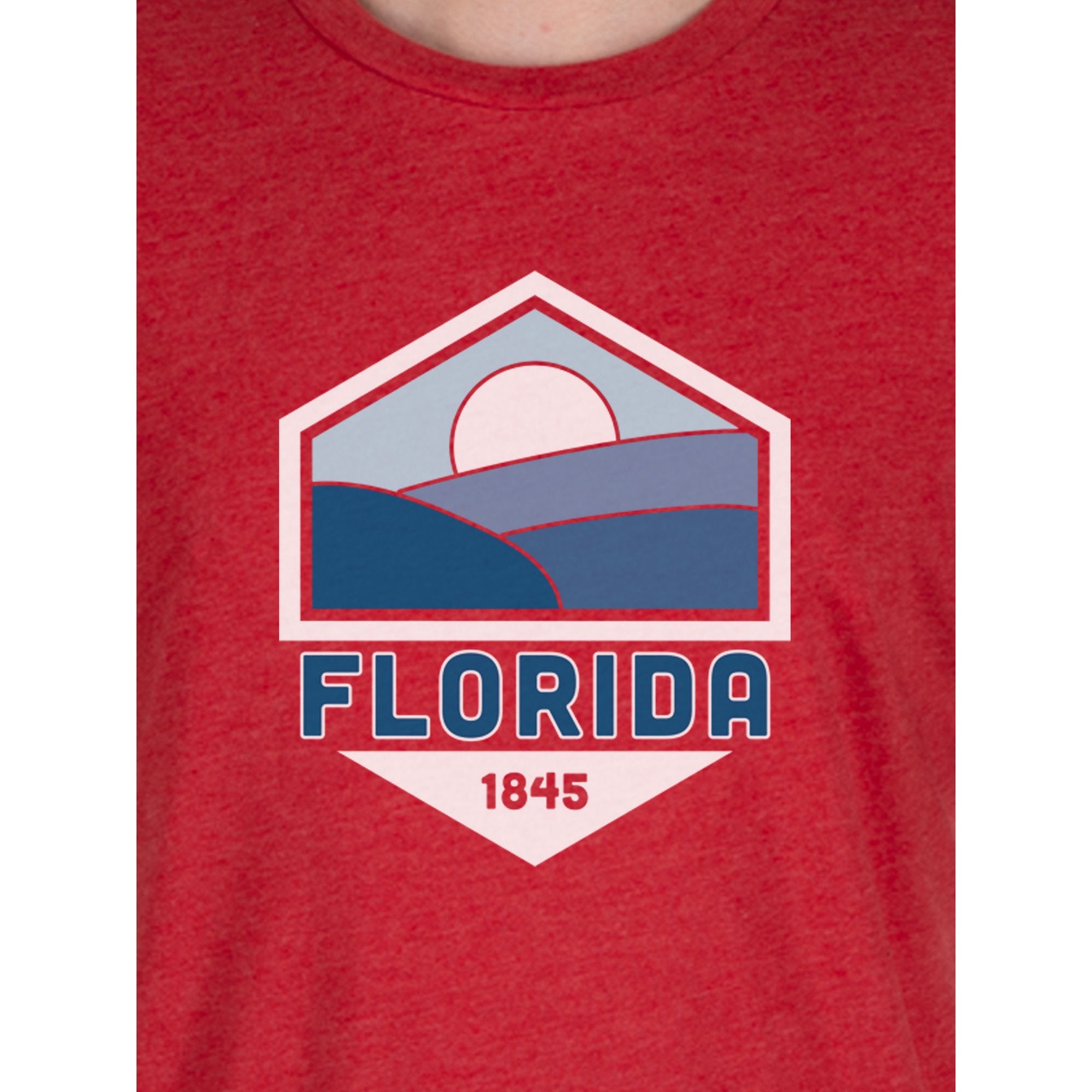 Unisex Florida State Graphic Tee, Triblend T-Shirt from Home Tree | WTWL1065XA
