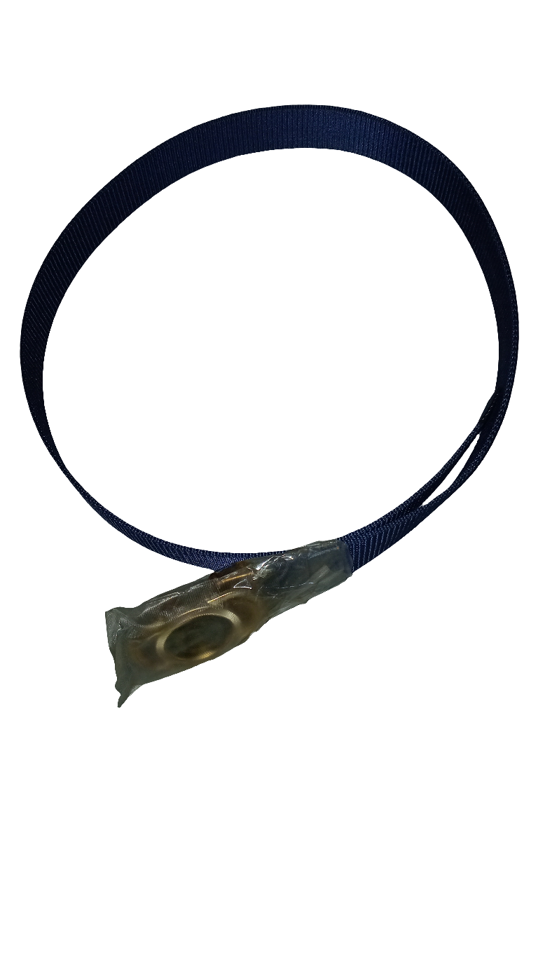 Super Fancy Head Designer Belt | SYD1a