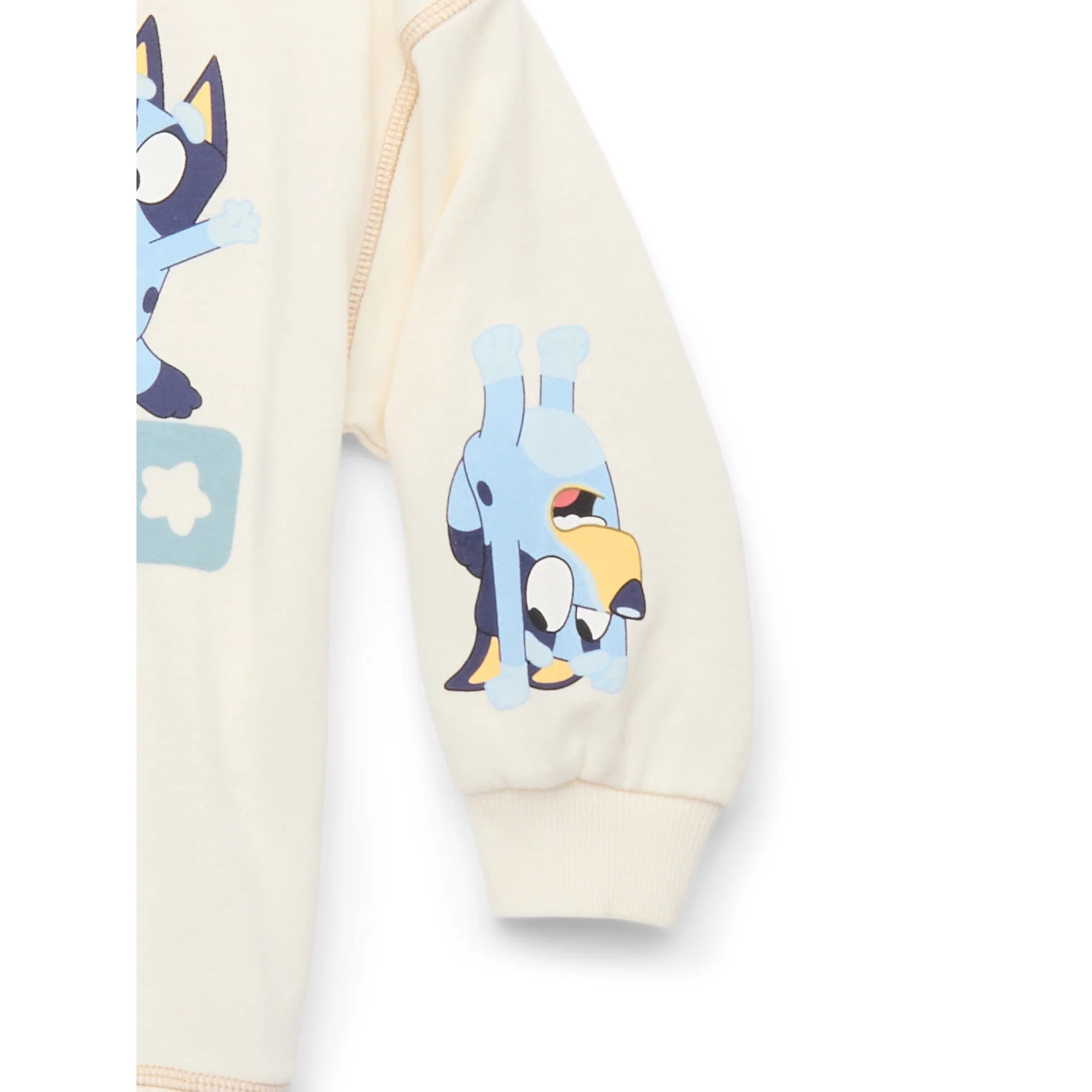 Bluey Toddler Boy Graphic Crewneck Sweatshirt, Sizes 12M-5T | WTWL730XA