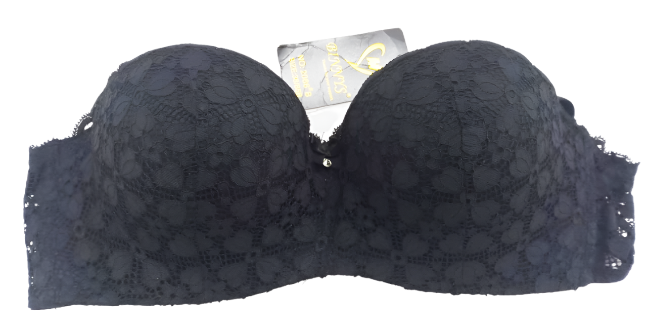 Fancy Top Quality Foam Lace Support Bra | EBT29c