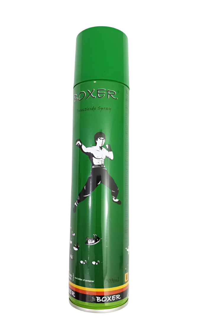 Boxer Insecticide Spray, Green, 300ml | EVG31a