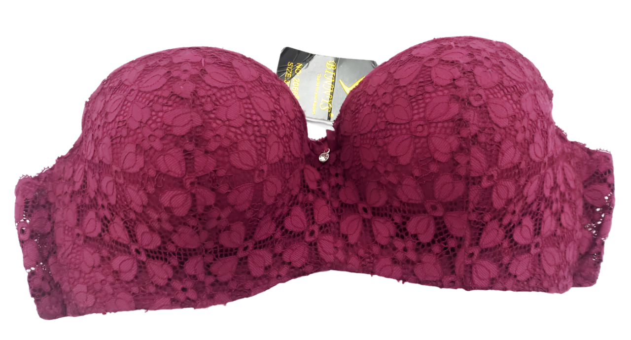 Super Comfy Quality Foam Lace Support Bra | EBT29a