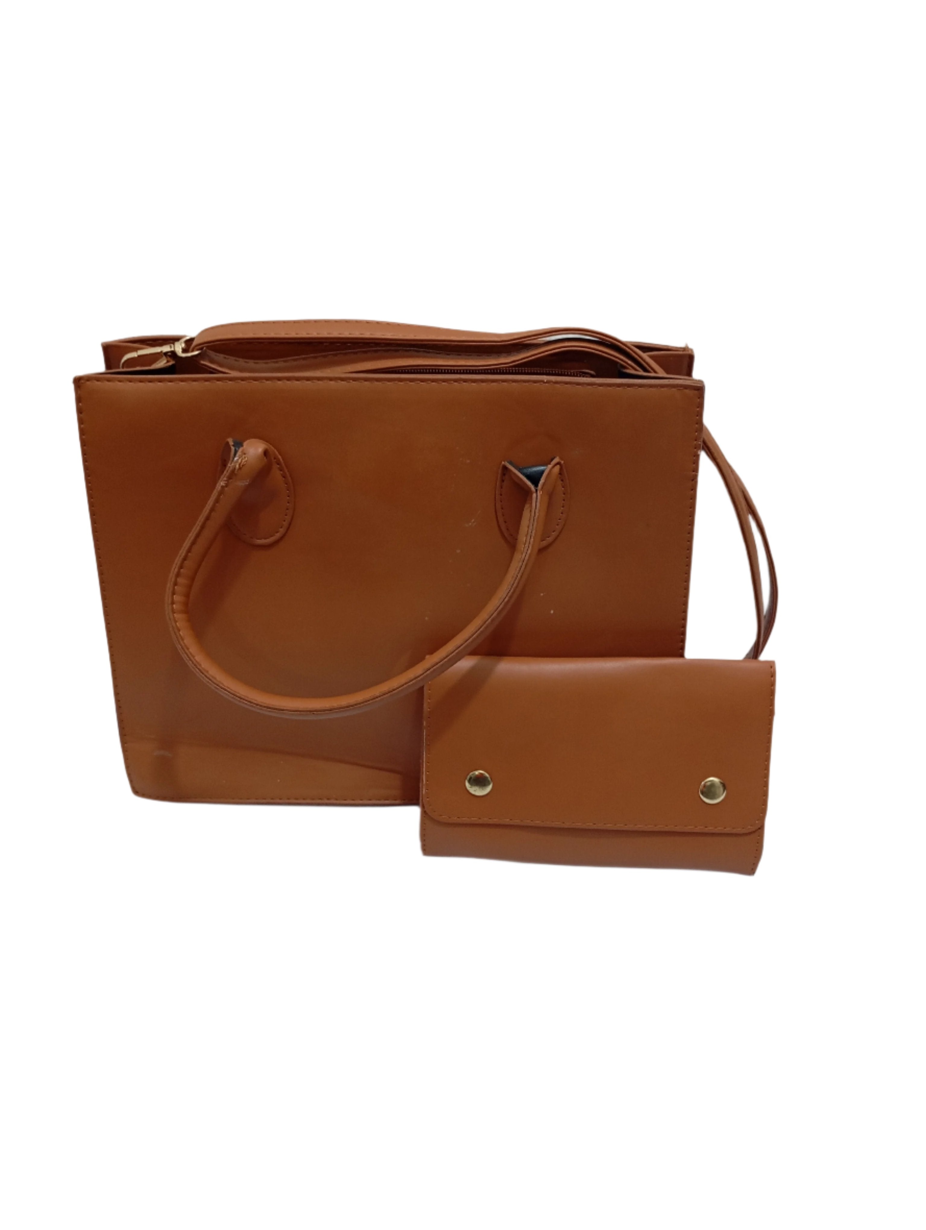 Fancy Party Handbag | CDF1c