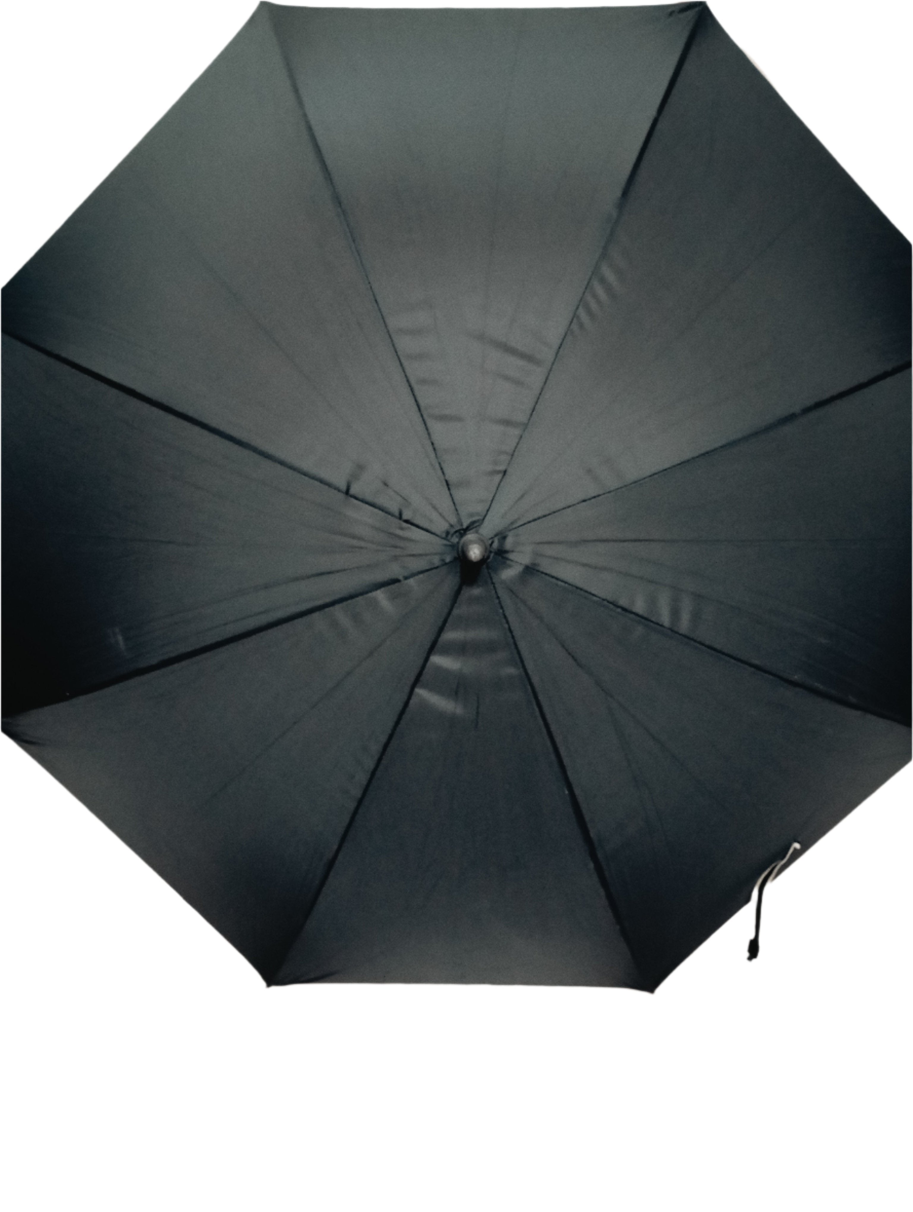 Best Selling Fancy Long Super Touch Umbrella | DGA5b
