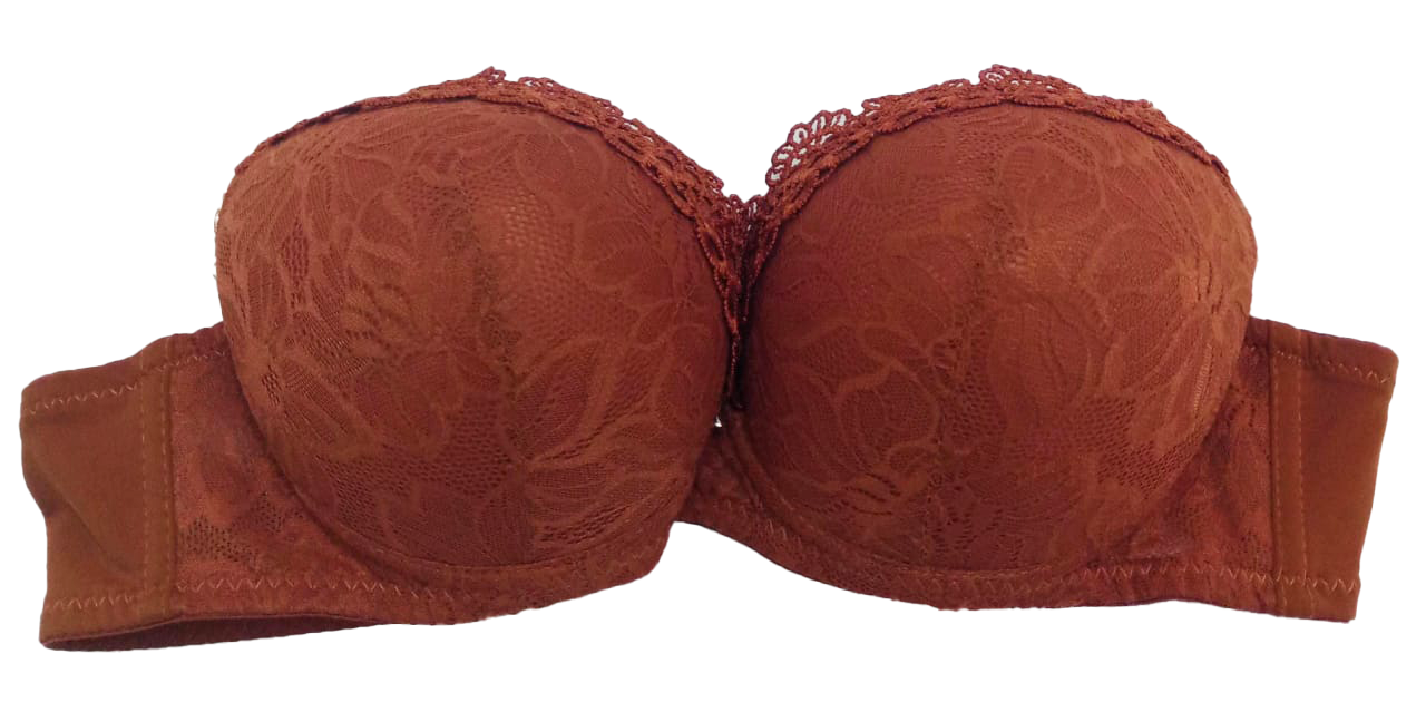 Quality Foam Lace Trim Support Bra | EBT27a