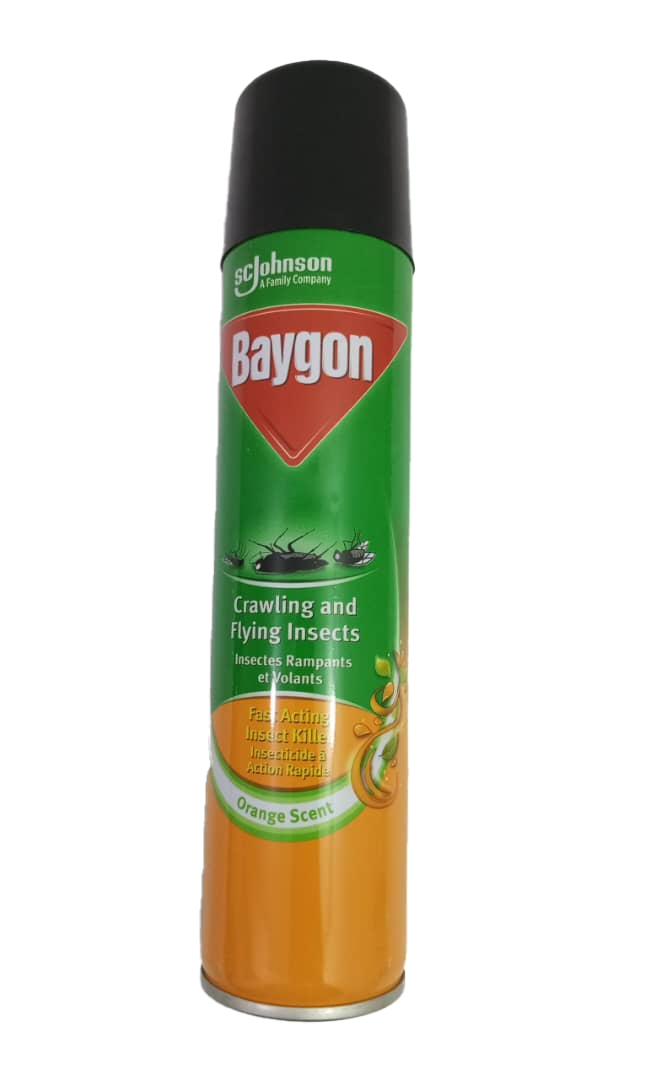 SC Johnson Baygon Crawling And Flying Insects , Orange Scent, 300ml | EVG29a