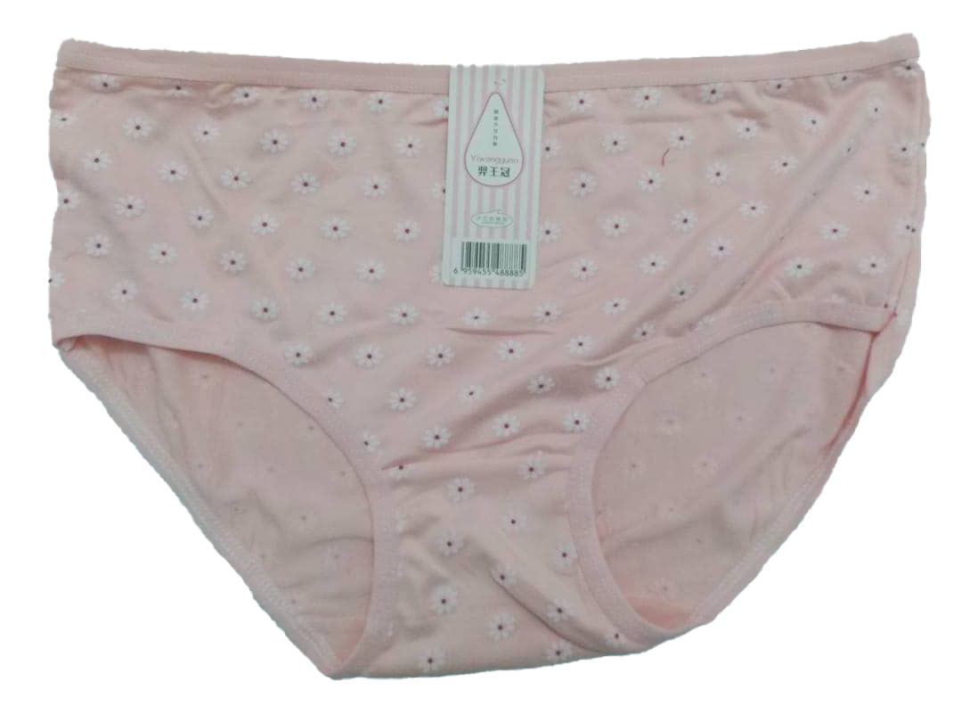 Designer Elastic All Fit Undies Pant | AJZ17b