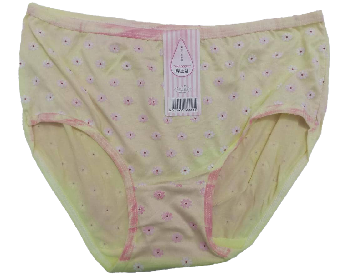 Designer Elastic All Fit Undies Pant | AJZ17c