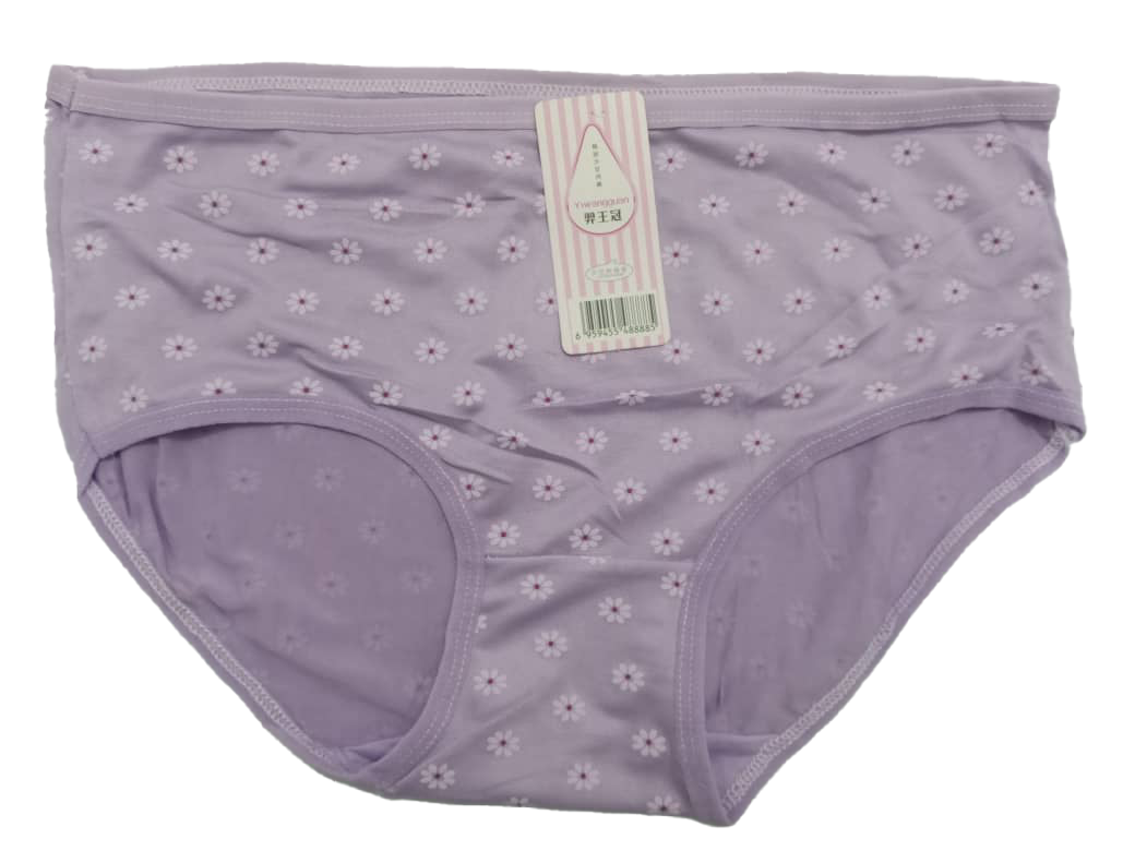 Designer Elastic All Fit Undies Pant | AJZ17d