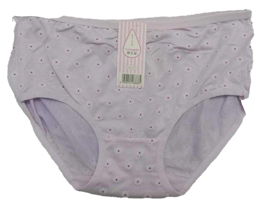 Designer Elastic All Fit Undies Pant | AJZ17e